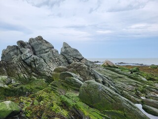 Rochers de bord de mer dans le parc du Bic.