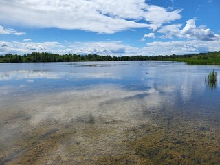Marais tranquille.