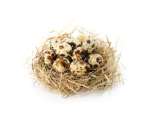 Naklejka na ściany i meble Nest with quail eggs isolated on white