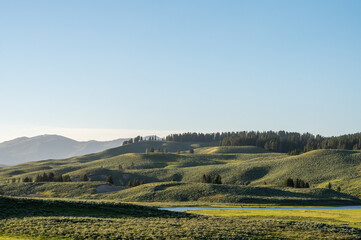 Obraz premium Softly Rolling Hills of Hayden Valley While The Yellowstone River Passes Through