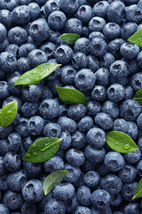 Wet fresh blueberries with green leaves as background, top view