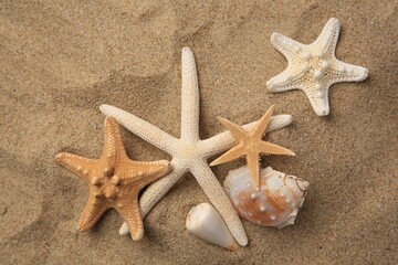 Fototapeta na wymiar Beautiful starfishes and sea shells on sand, flat lay