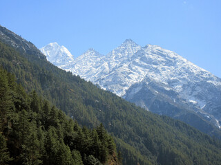 Fototapeta premium Himalayas mountains and forest