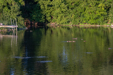 Summer Serenity: Winnebago Lake, Wisconsin, USA