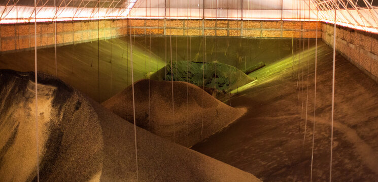 Grain stacked in closed warehouse.