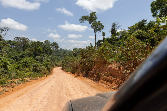 Driving on the famous earth road Transamazonica towards Santarém through the Amazon rainforest in dry season in northern Brazil, South America