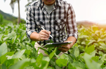 Obraz premium Hands of farmer, Agriculture technology farmer man using tablet Modern technology concept agriculture.