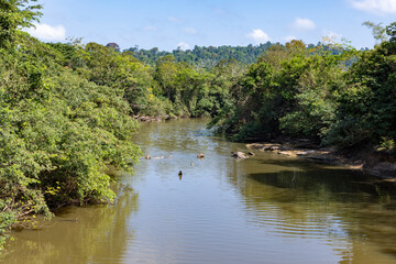 Beautiful lush green landscape along the famous earth road Transamazonica towards Santarém through...