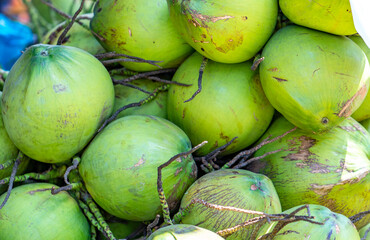 Fresh Coconut cluster for sale at the market, Vietnam fruits, specialties from Ben Tre