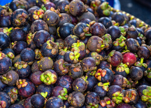 Mangosteen fruit for sale at the market, Vietnam fruits, specialties from Lai Thieu region, Binh Duong
