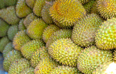 Durians fruit for sale at the market, Vietnam fruit, specialty from Cai Lay region, Tien Giang