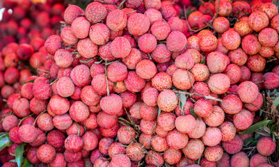Fresh Lychee is sold at Vietnam fruit market. This is a specialty in Luc Ngan region, Bac Giang, Vietnam
