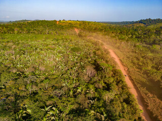 Drone shot of the famous earth road Transamazonica towards Santarém in dry season through the...