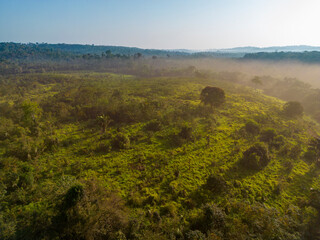 Drone shot - bird's eye view of the lush green landscape along the famous earth road Transamazonica...