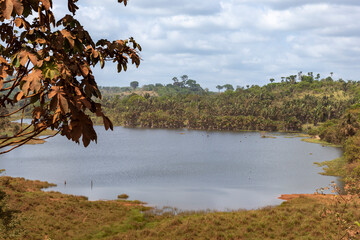 Beautiful lush green landscape along the famous earth road Transamazonica towards Santarém through...