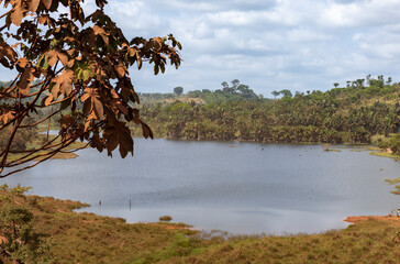 Beautiful lush green landscape along the famous earth road Transamazonica towards Santarém through...