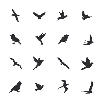 silhouettes of birds icon set