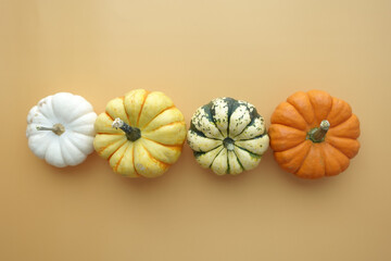 Different types of mini pumpkins color background 