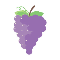 grapes fresh fruit icon