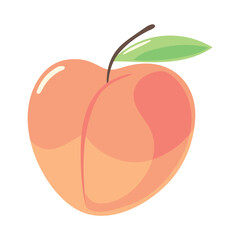 apricot fruit icon isolated