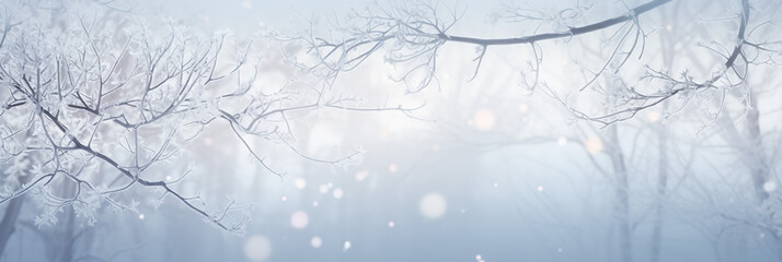  A White beaytiful winter Christmas Blurres Background. Winter atmospheric Natural landscape with Frost - covered dry branches during snowfall.