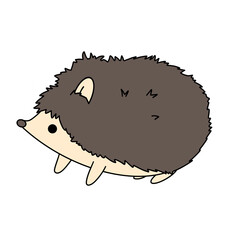 Hedgehog illustration
