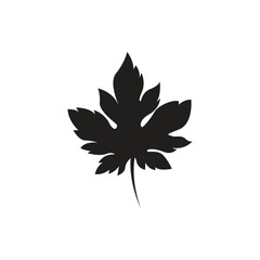 autumn leaf logo icon