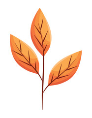 autumn leaf dry foliage icon