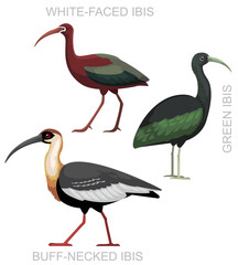 Cute Bird Green Ibis Set Cartoon Vector