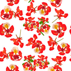 A seamless pattern of colorful flame tree flowers. vector illustration. Colorful flower background. - obrazy, fototapety, plakaty