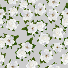 A seamless pattern of Cape jasmine flower. vector illustration.