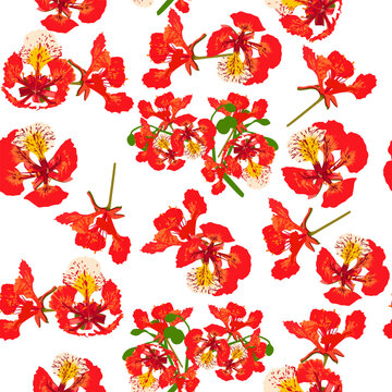 A seamless pattern of colorful flame tree flowers. vector illustration. Colorful flower background.