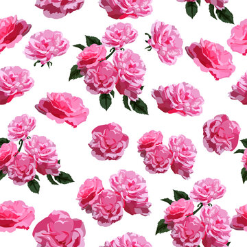 A seamless pattern of colorful Damask rose flowers. vector illustration. flower background.