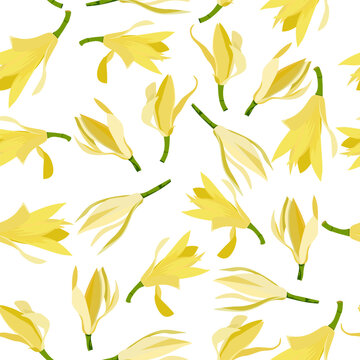 A seamless pattern of Champaka flower. vector illustration. flower background.