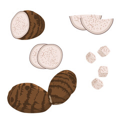 Set of Taro with sliced, cut, and pices isolated on a white background. vector illustration. - obrazy, fototapety, plakaty