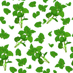 A seamless pattern of Watercress. vector illustration.