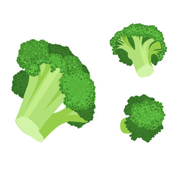 Set of Broccoli isolated on a white