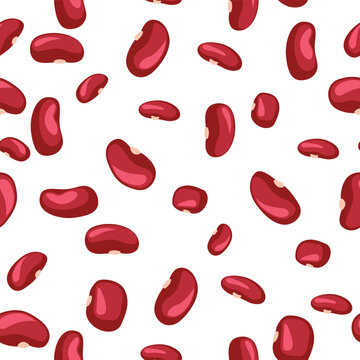 A seamless pattern of Kidney beans. vector illustration.
