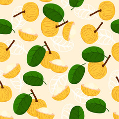 A seamless pattern of Santol fruits. vector illustration. fruits background.