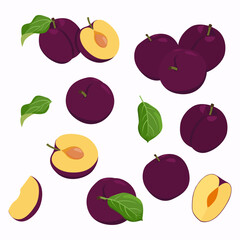 Set of Plum fruits isolated on a white background. vector illustration.