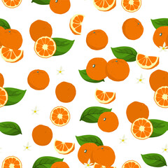 A seamless pattern of orange fruits. vector illustration.