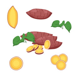 Set of Sweet potato or jams isolated on a white background.