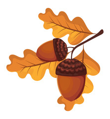 acorn tree leaf icon © Stockgiu