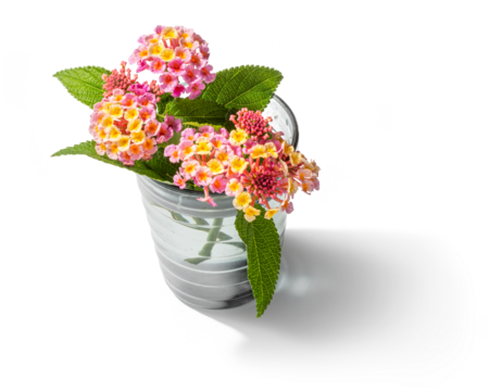 ガラスの花瓶に生けたランタナの花束
