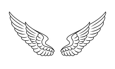 vector angel wings line art style	