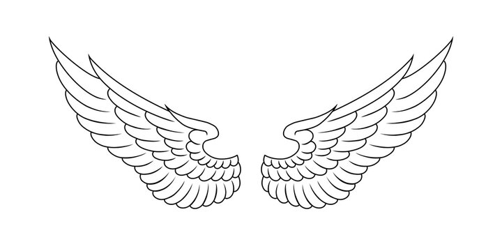 vector angel wings line art style	
