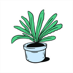Green color plant in pot. Houseplant decor element.