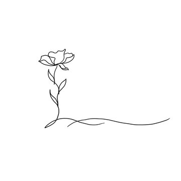 Flower in the garden. Art line of Flower. Black and white artline flower illustration.