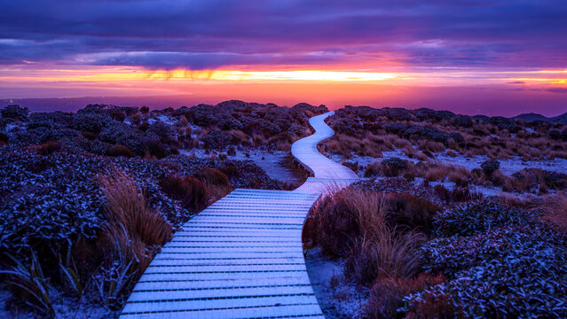 Pouakai track in winter, Mt. Taranaki, New Zealand	