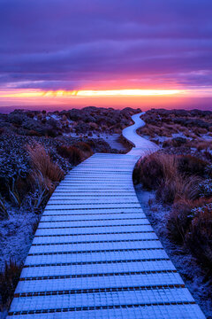 Pouakai track in winter, Mt. Taranaki, New Zealand	